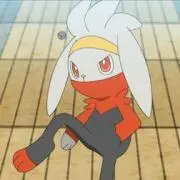 SaStの画像