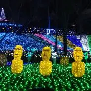 タビの画像