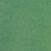 うさぎ