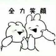 カメ吉の画像