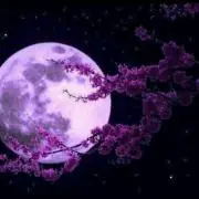 佐羅梨