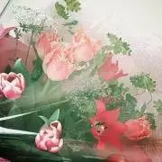 三時草