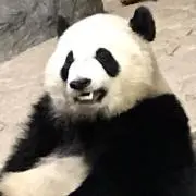 テラリズム
