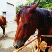 ✯ARROW GOOD FACTRY✯の画像