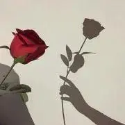 みんみんの画像