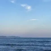 fe プロフ必読○