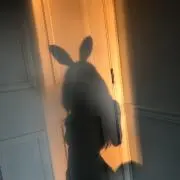 piの画像