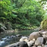 S.sの画像