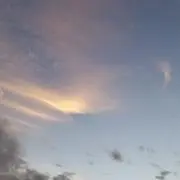 まい