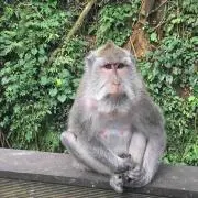 Yasko