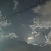 いちごの画像