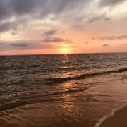 M Dの画像