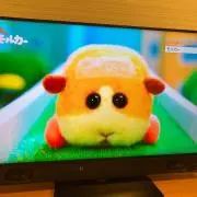けけの画像