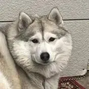 喜多山の画像