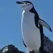 リンナイの画像