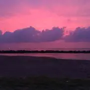 ごんざれす