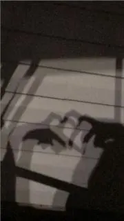 rll