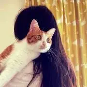 hari