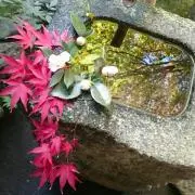 あつこの画像