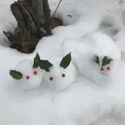 ちっぱ【プロフ読んでね‪ | ᐕ)⁾⁾】の画像