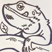 Yの画像