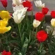 mの画像