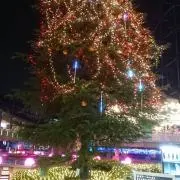 yoshiの画像