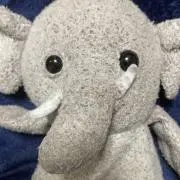 つっちの画像