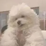 なっちの画像