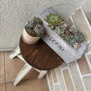 ぐっち