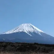 すずままの画像