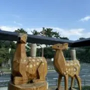 Image of にゃむにゃむ