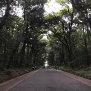 ぽんた