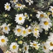 mn´- 値下げ交渉可‼︎の画像
