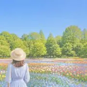 よいの画像