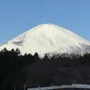 fukufujiの画像