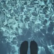 yの画像
