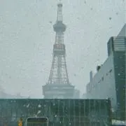 ぬんの画像