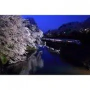 MKCの画像
