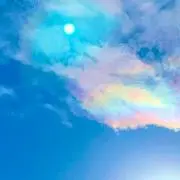 巴の画像