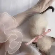 ♡の画像