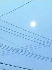ヒナ.の画像