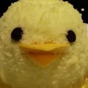 ひよこ太郎◇プロフご確認お願いします