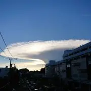 クローニャの画像
