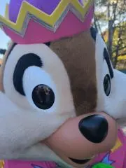 curaco *要プロフ参照*の画像
