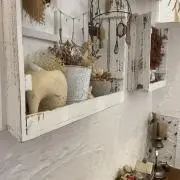 たけのこの画像