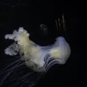 ちぇりおの画像