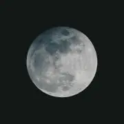 AZARASIの画像