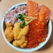 ぽこの画像