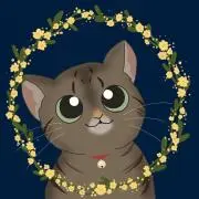 catisonの画像